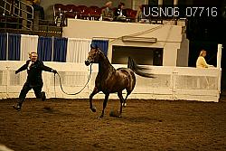 USN06_07716 proof