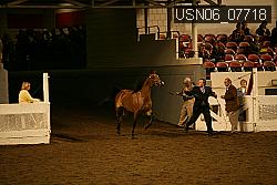USN06_07718 proof