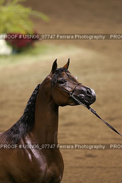 Proof USN06_07747