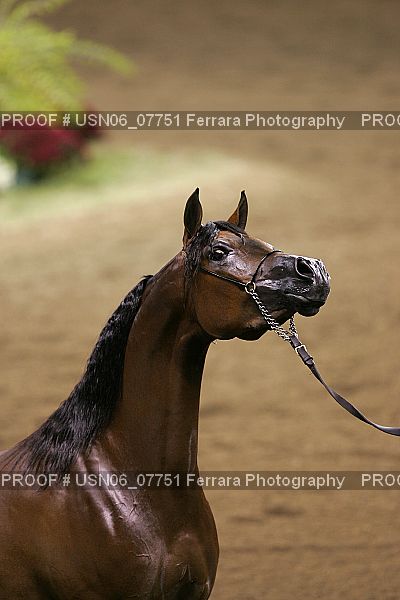 Proof USN06_07751