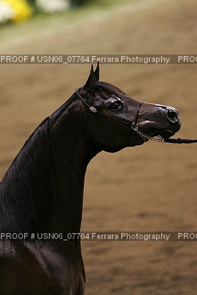 Proof USN06_07764