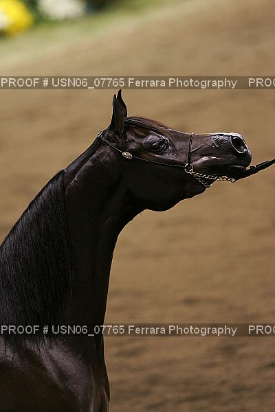 Proof USN06_07765