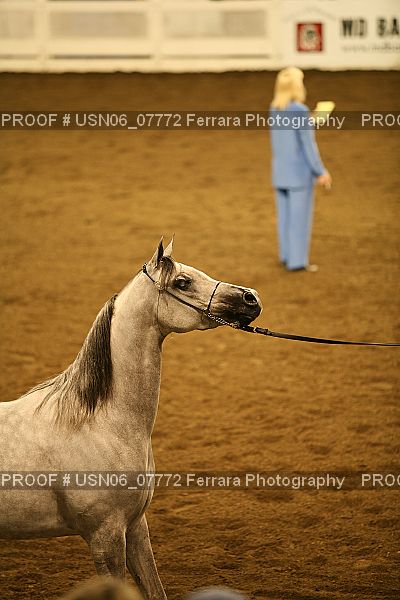 Proof USN06_07772