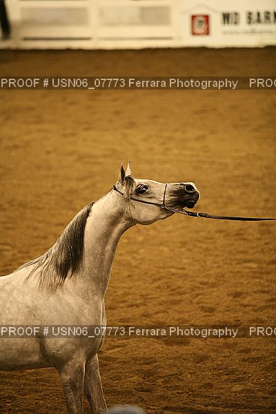 Proof USN06_07773