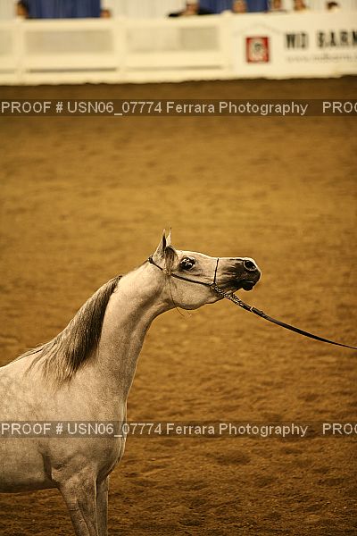 Proof USN06_07774