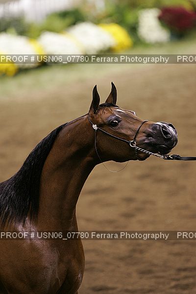 Proof USN06_07780