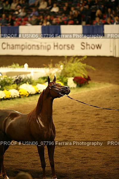 Proof USN06_07796
