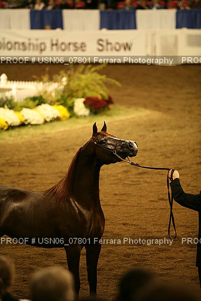 Proof USN06_07801