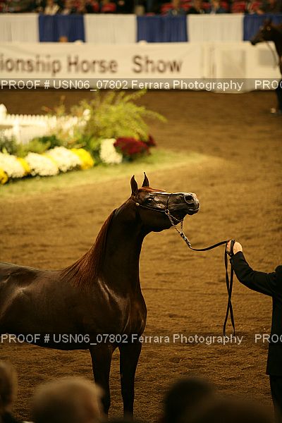 Proof USN06_07802