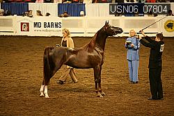 USN06_07804 proof