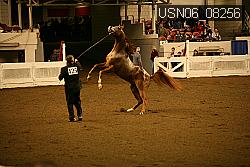 USN06_08256 proof