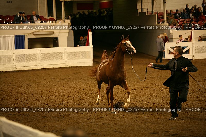 Proof USN06_08257
