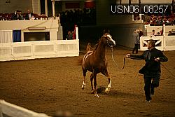 USN06_08257 proof
