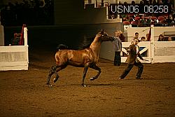 USN06_08258 proof