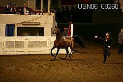 USN06_08260 proof