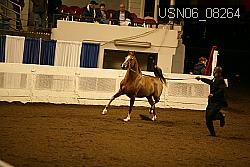 USN06_08264 proof