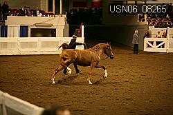 USN06_08265 proof