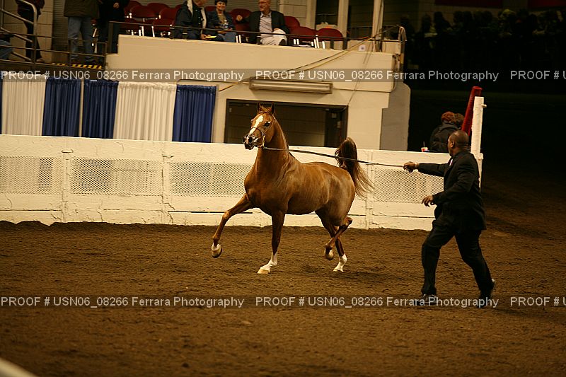 Proof USN06_08266
