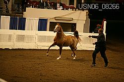 USN06_08266 proof