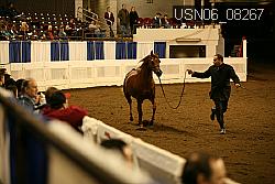 USN06_08267 proof