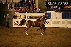 USN06_08268 proof