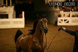 USN06_08280 proof