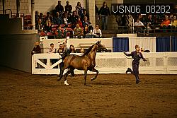 USN06_08282 proof