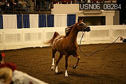 USN06_08284 proof