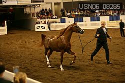 USN06_08285 proof