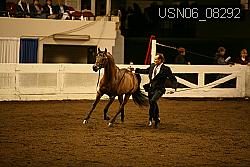 USN06_08292 proof