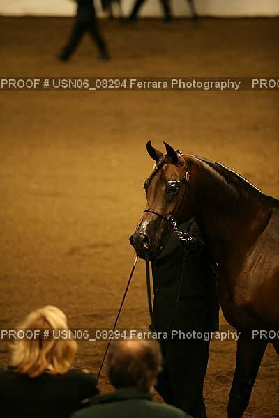 Proof USN06_08294