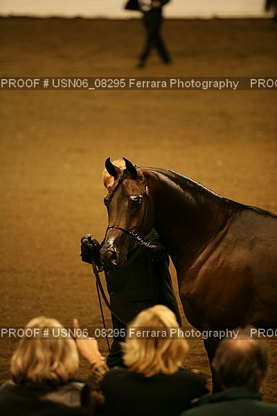 Proof USN06_08295