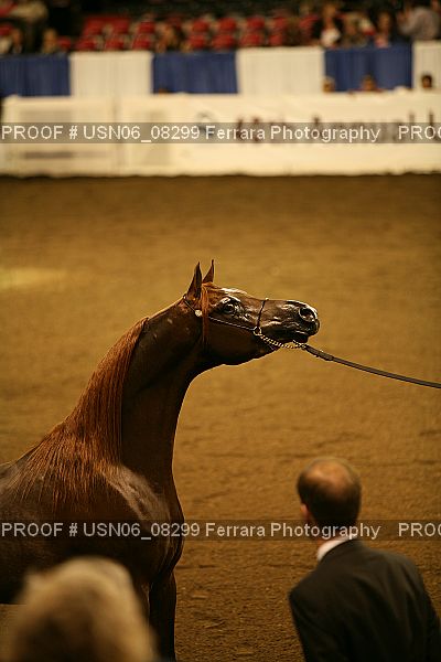 Proof USN06_08299