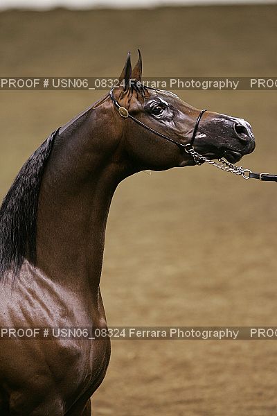 Proof USN06_08324