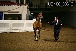 USN06_00612 proof