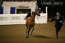 USN06_00613 proof