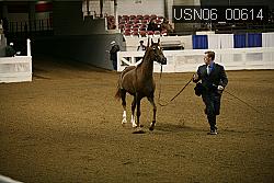 USN06_00614 proof