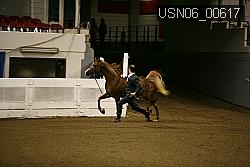 USN06_00617 proof