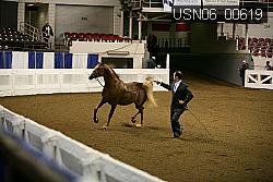 USN06_00619 proof
