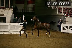 USN06_00633 proof