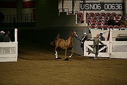 USN06_00636 proof