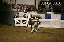 USN06_00638 proof