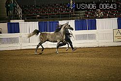 USN06_00643 proof
