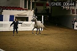 USN06_00644 proof