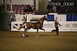 USN06_00645 proof