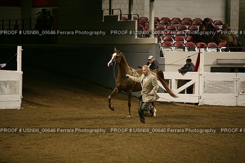 Proof USN06_00646