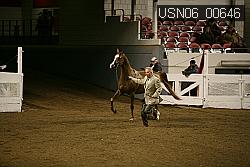 USN06_00646 proof