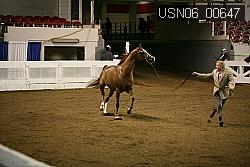USN06_00647 proof