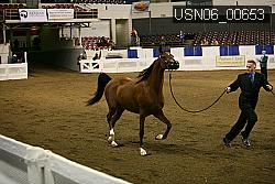 USN06_00653 proof
