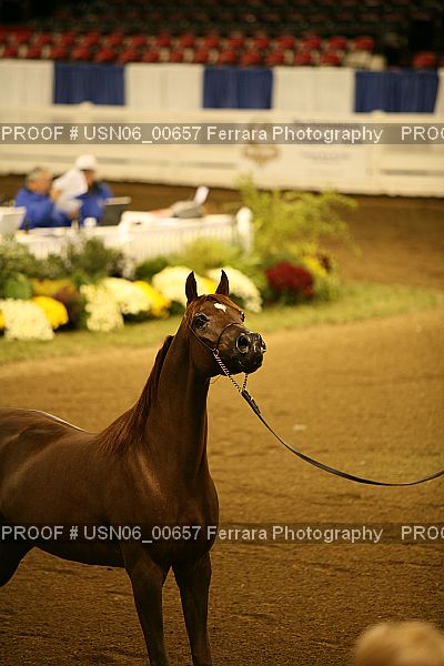 Proof USN06_00657